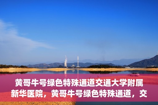 黄哥牛号绿色特殊通道交通大学附属新华医院，黄哥牛号绿色特殊通道，交通大学附属新华医院的探索与实践