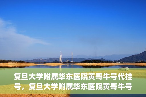 复旦大学附属华东医院黄哥牛号代挂号，复旦大学附属华东医院黄哥牛号代挂号解析与体验分享