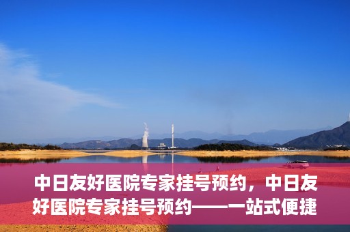 中日友好医院专家挂号预约，中日友好医院专家挂号预约——一站式便捷预约平台体验