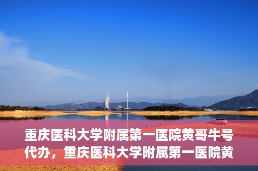 重庆医科大学附属第一医院黄哥牛号代办，重庆医科大学附属第一医院黄哥牛号代办服务详解