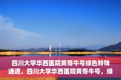 四川大学华西医院黄哥牛号绿色特殊通道，四川大学华西医院黄哥牛号，绿色特殊通道开启生命之门