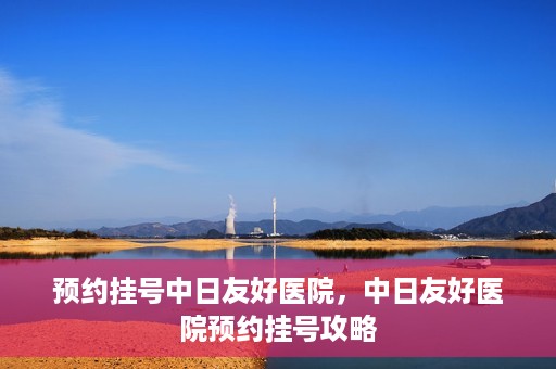 预约挂号中日友好医院，中日友好医院预约挂号攻略