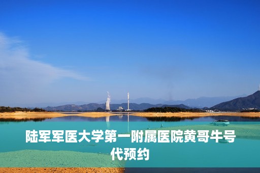 陆军军医大学第一附属医院黄哥牛号代预约