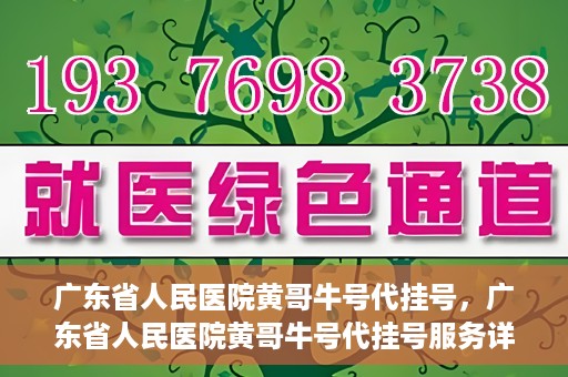 广东省人民医院黄哥牛号代挂号，广东省人民医院黄哥牛号代挂号服务详解