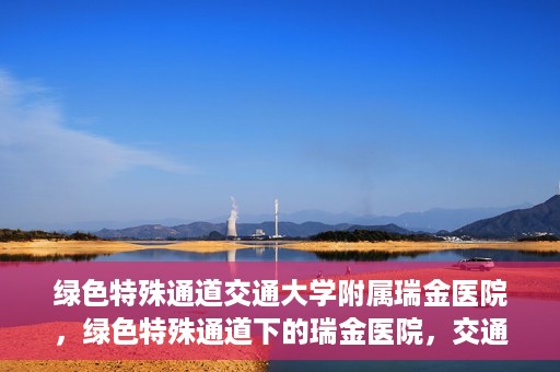 绿色特殊通道交通大学附属瑞金医院，绿色特殊通道下的瑞金医院，交通大学附属瑞金医院的探索与实践