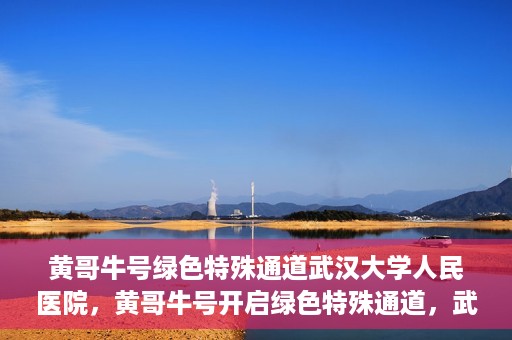 黄哥牛号绿色特殊通道武汉大学人民医院，黄哥牛号开启绿色特殊通道，武汉大学人民医院全力护航健康之路