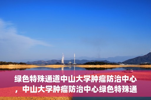 绿色特殊通道中山大学肿瘤防治中心，中山大学肿瘤防治中心绿色特殊通道，守护生命之光