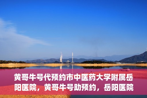 黄哥牛号代预约市中医药大学附属岳阳医院，黄哥牛号助预约，岳阳医院中医魅力体验之旅