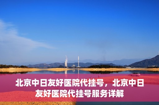 北京中日友好医院代挂号，北京中日友好医院代挂号服务详解