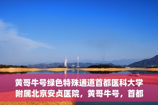 黄哥牛号绿色特殊通道首都医科大学附属北京安贞医院，黄哥牛号，首都医科大学附属北京安贞医院绿色特殊通道开启健康之门