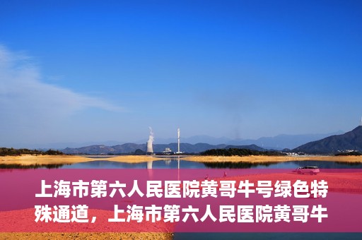 上海市第六人民医院黄哥牛号绿色特殊通道，上海市第六人民医院黄哥牛号，绿色特殊通道开启