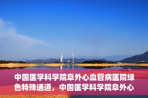 中国医学科学院阜外心血管病医院绿色特殊通道，中国医学科学院阜外心血管病医院开通绿色特殊通道，助力患者快速康复之路