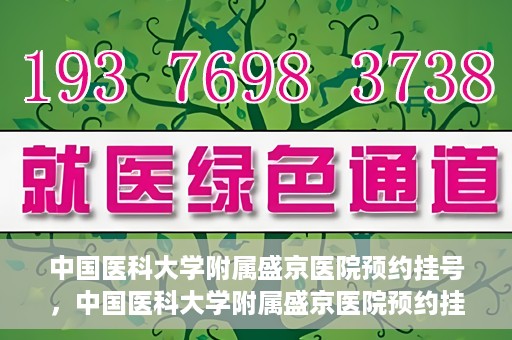 中国医科大学附属盛京医院预约挂号，中国医科大学附属盛京医院预约挂号指南，一站式解决您的挂号难题