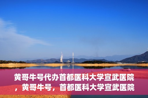黄哥牛号代办首都医科大学宣武医院，黄哥牛号，首都医科大学宣武医院代办服务