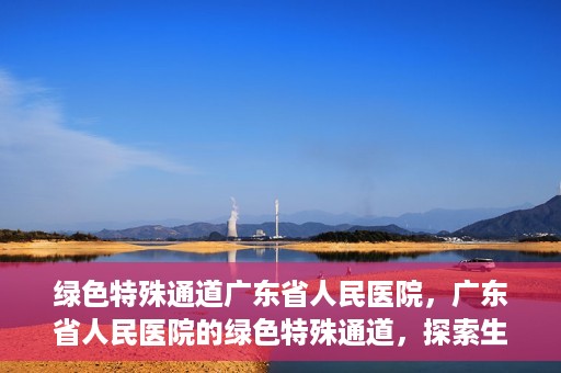 绿色特殊通道广东省人民医院，广东省人民医院的绿色特殊通道，探索生命的新路径
