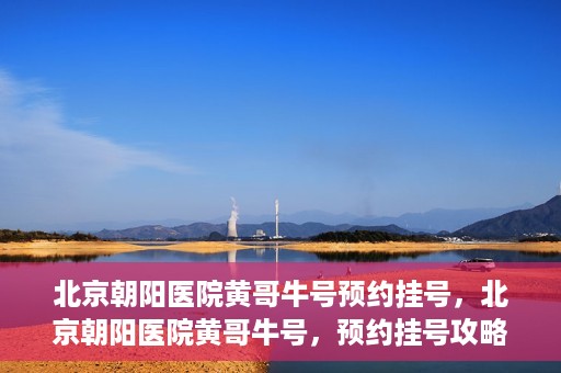 北京朝阳医院黄哥牛号预约挂号，北京朝阳医院黄哥牛号，预约挂号攻略
