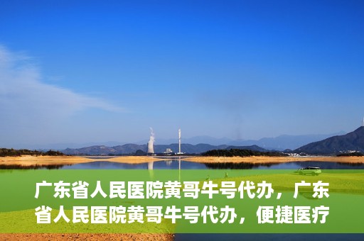 广东省人民医院黄哥牛号代办，广东省人民医院黄哥牛号代办，便捷医疗新途径