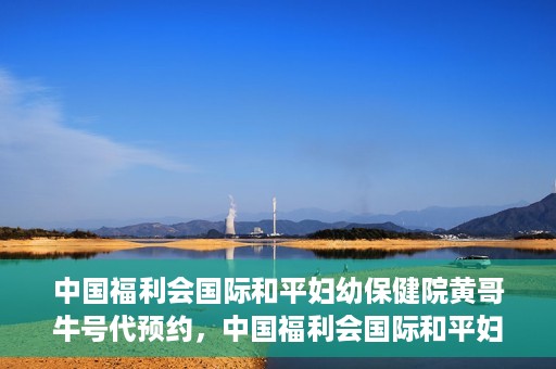 中国福利会国际和平妇幼保健院黄哥牛号代预约，中国福利会国际和平妇幼保健院预约挂号新动向，黄哥牛号代预约服务启动