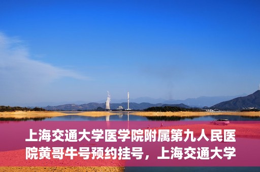 上海交通大学医学院附属第九人民医院黄哥牛号预约挂号，上海交通大学医学院附属第九人民医院黄哥牛号预约挂号攻略解析