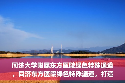 同济大学附属东方医院绿色特殊通道，同济东方医院绿色特殊通道，打造健康之路的新篇章