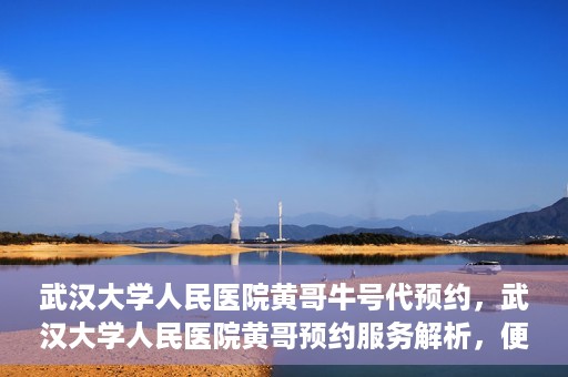 武汉大学人民医院黄哥牛号代预约，武汉大学人民医院黄哥预约服务解析，便捷医疗，牛号代预约新体验