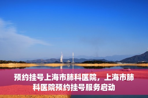 预约挂号上海市肺科医院，上海市肺科医院预约挂号服务启动