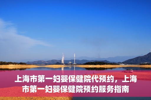 上海市第一妇婴保健院代预约，上海市第一妇婴保健院预约服务指南