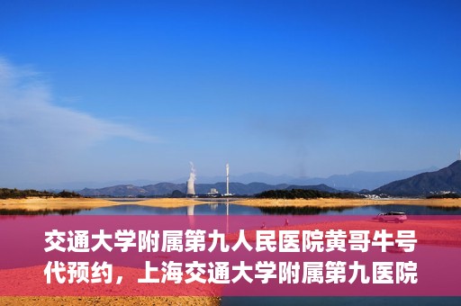 交通大学附属第九人民医院黄哥牛号代预约，上海交通大学附属第九医院黄哥预约挂号服务启动，便捷就医新选择