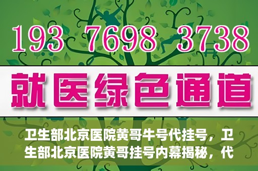 卫生部北京医院黄哥牛号代挂号，卫生部北京医院黄哥挂号内幕揭秘，代挂号背后的故事