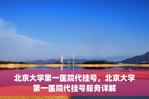 北京大学第一医院代挂号，北京大学第一医院代挂号服务详解