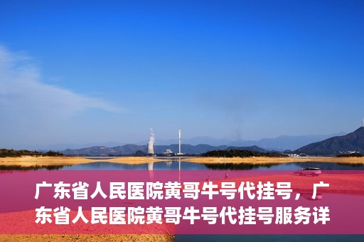 广东省人民医院黄哥牛号代挂号，广东省人民医院黄哥牛号代挂号服务详解