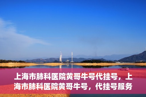 上海市肺科医院黄哥牛号代挂号，上海市肺科医院黄哥牛号，代挂号服务详解