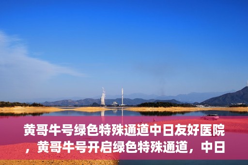 黄哥牛号绿色特殊通道中日友好医院，黄哥牛号开启绿色特殊通道，中日友好医院展现友好服务新篇章
