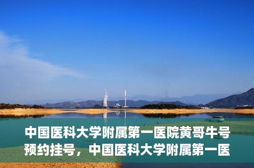 中国医科大学附属第一医院黄哥牛号预约挂号，中国医科大学附属第一医院黄哥牛号预约挂号指南，轻松挂号，健康无忧！