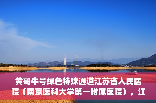 黄哥牛号绿色特殊通道江苏省人民医院（南京医科大学第一附属医院），江苏省人民医院绿色特殊通道，黄哥牛号引领健康新风尚