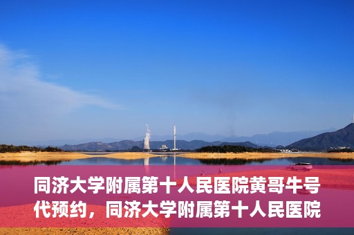 同济大学附属第十人民医院黄哥牛号代预约，同济大学附属第十人民医院黄哥牛号预约服务启动
