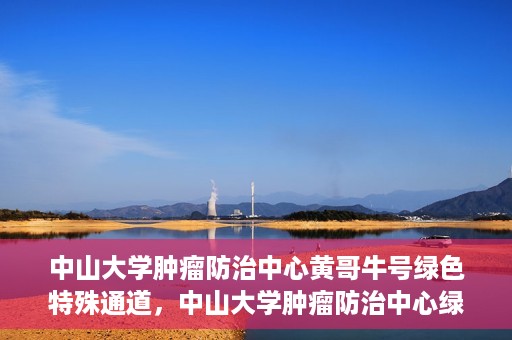 中山大学肿瘤防治中心黄哥牛号绿色特殊通道，中山大学肿瘤防治中心绿色特殊通道——黄哥牛号的守护力量