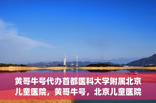 黄哥牛号代办首都医科大学附属北京儿童医院，黄哥牛号，北京儿童医院代办服务详解