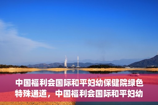中国福利会国际和平妇幼保健院绿色特殊通道，中国福利会国际和平妇幼保健院，绿色特殊通道助力母婴健康守护