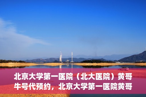 北京大学第一医院（北大医院）黄哥牛号代预约，北京大学第一医院黄哥牛号预约服务解析