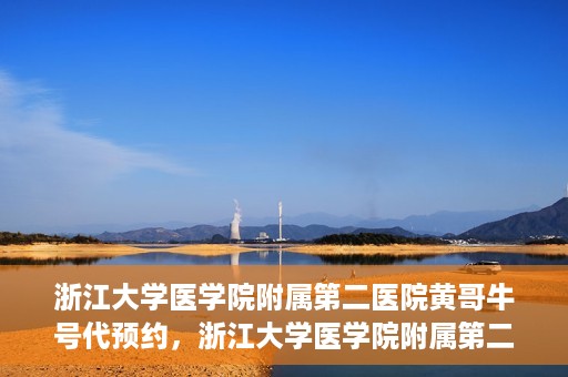 浙江大学医学院附属第二医院黄哥牛号代预约，浙江大学医学院附属第二医院黄哥牛号预约攻略，轻松解决挂号难题