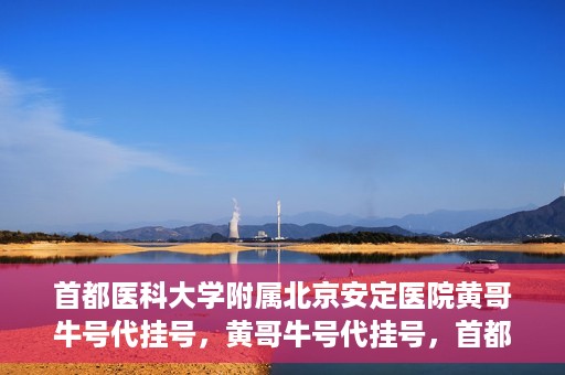 首都医科大学附属北京安定医院黄哥牛号代挂号，黄哥牛号代挂号，首都医科大学附属北京安定医院的便捷就医之路