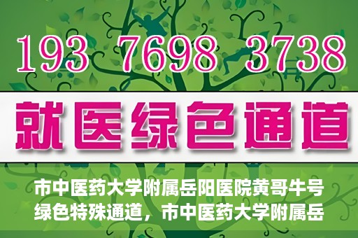 市中医药大学附属岳阳医院黄哥牛号绿色特殊通道，市中医药大学附属岳阳医院黄哥牛号，绿色特殊通道开启健康之门