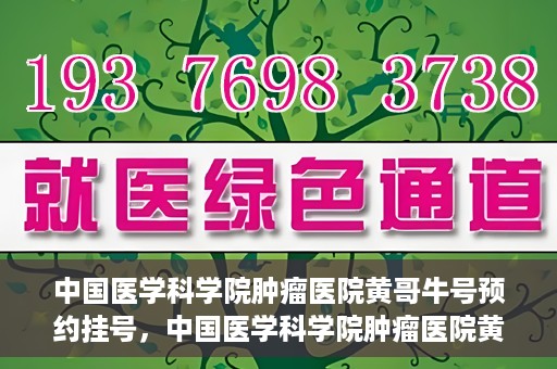 中国医学科学院肿瘤医院黄哥牛号预约挂号，中国医学科学院肿瘤医院黄哥牛号预约挂号攻略，一站式解决您的挂号难题