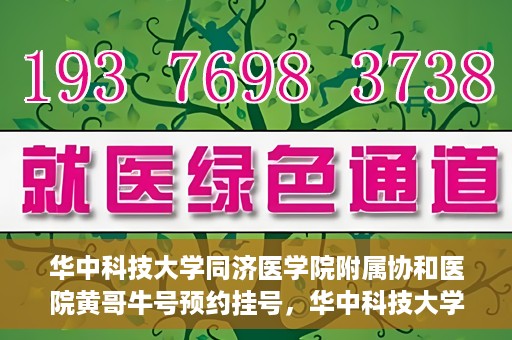 华中科技大学同济医学院附属协和医院黄哥牛号预约挂号，华中科技大学同济医学院附属协和医院黄哥牛号预约挂号攻略解析
