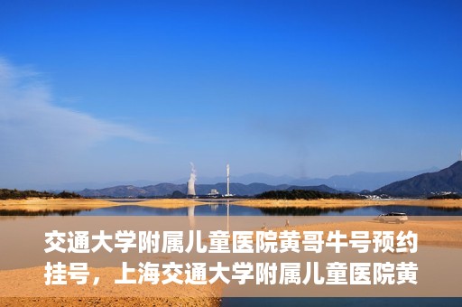 交通大学附属儿童医院黄哥牛号预约挂号，上海交通大学附属儿童医院黄哥牛儿科专家预约挂号攻略