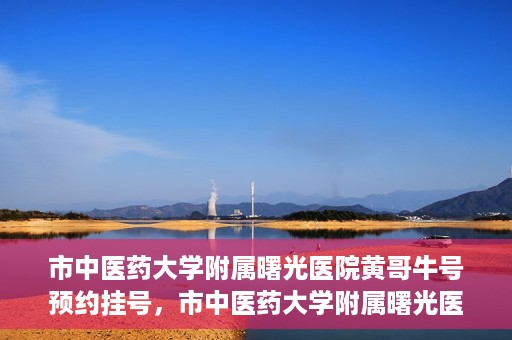市中医药大学附属曙光医院黄哥牛号预约挂号，市中医药大学附属曙光医院黄哥牛号，预约挂号攻略
