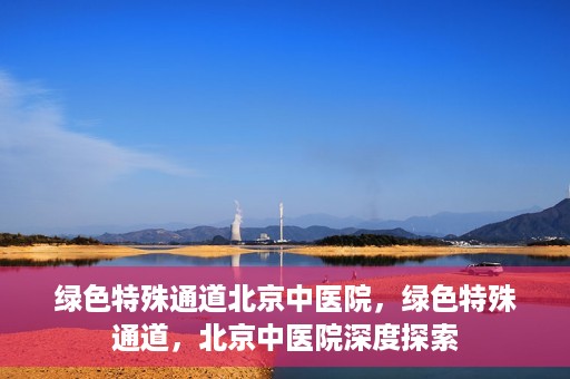 绿色特殊通道北京中医院，绿色特殊通道，北京中医院深度探索
