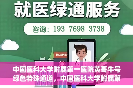 中国医科大学附属第一医院黄哥牛号绿色特殊通道，中国医科大学附属第一医院黄哥牛号，绿色特殊通道的开启与探索