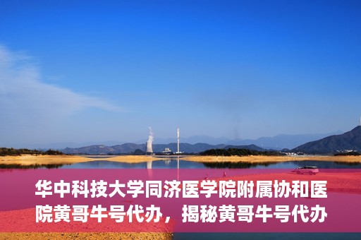 华中科技大学同济医学院附属协和医院黄哥牛号代办，揭秘黄哥牛号代办背后的故事，华中科技大学同济医学院附属协和医院就医新途径探索